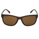 Fastrack P357BR3 Wayfarer Sunglasses Brown / Brown