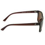 Fastrack P357BR3 Wayfarer Sunglasses Brown / Brown