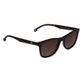 Tommy Hilfiger TH-1558-C5-53 Wayfarer Sunglasses Size - 53 Brown / Brown