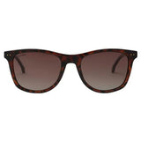 Tommy Hilfiger TH-1558-C5-53 Wayfarer Sunglasses Size - 53 Brown / Brown