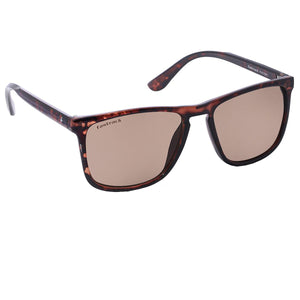 Fastrack P407BR1 Square Sunglasses Brown / Brown