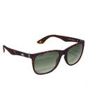 Tommy Hilfiger TH-1518-C4-55 Wayfarer Sunglasses Size - 55 Tortoise / Green
